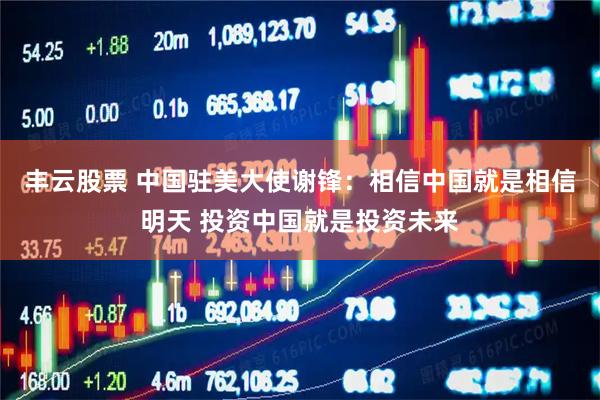 丰云股票 中国驻美大使谢锋：相信中国就是相信明天 投资中国就是投资未来