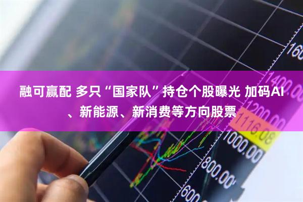 融可赢配 多只“国家队”持仓个股曝光 加码AI、新能源、新消费等方向股票