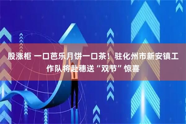 股涨柜 一口芭乐月饼一口茶！驻化州市新安镇工作队将赴穗送“双节”惊喜